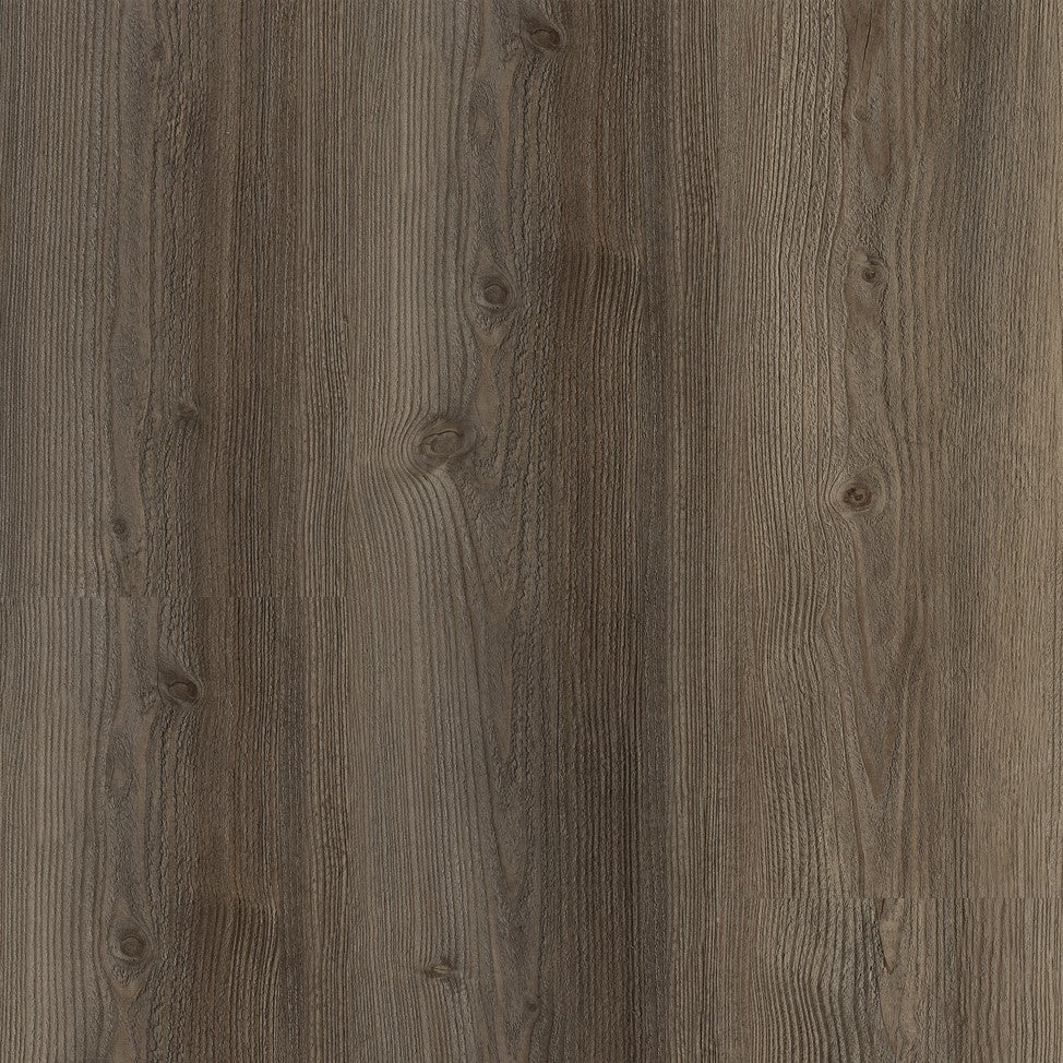 Planum Silence 55