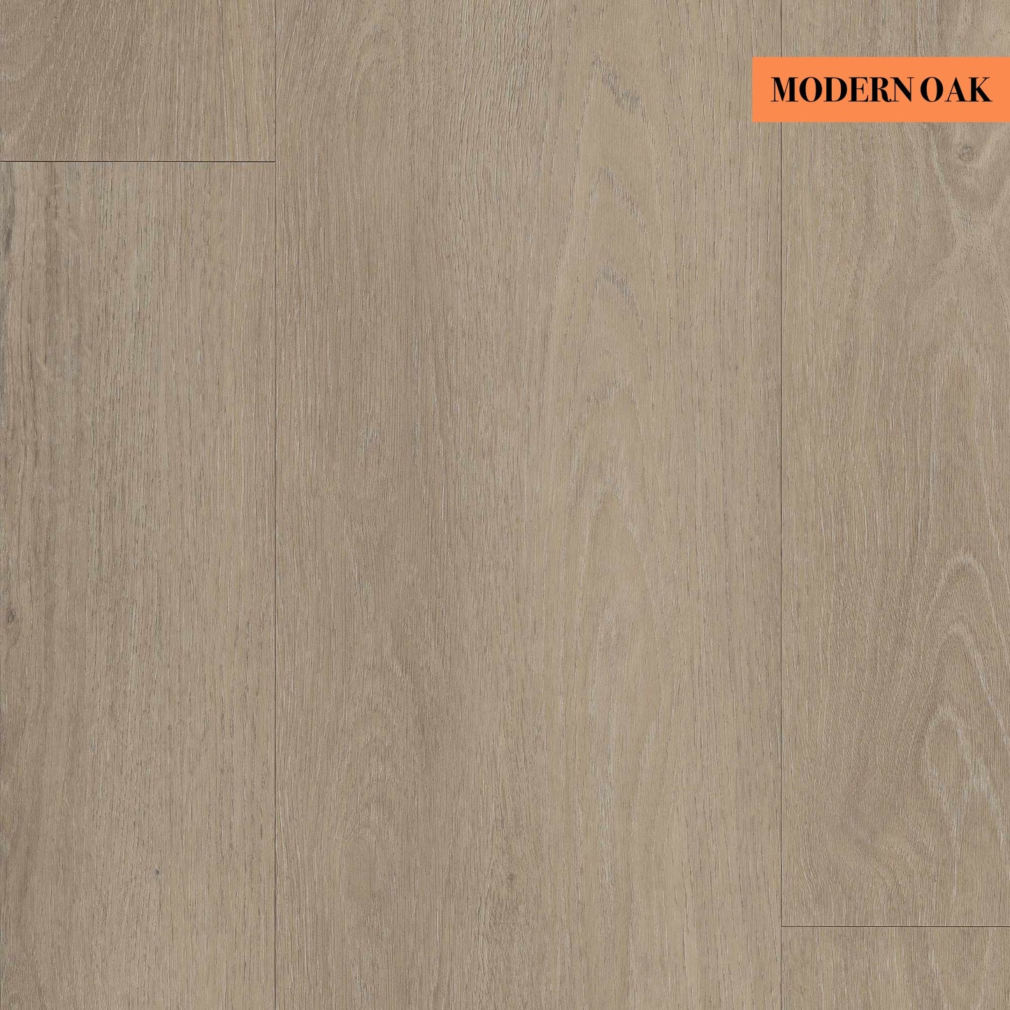 Ege Planum Silence 55