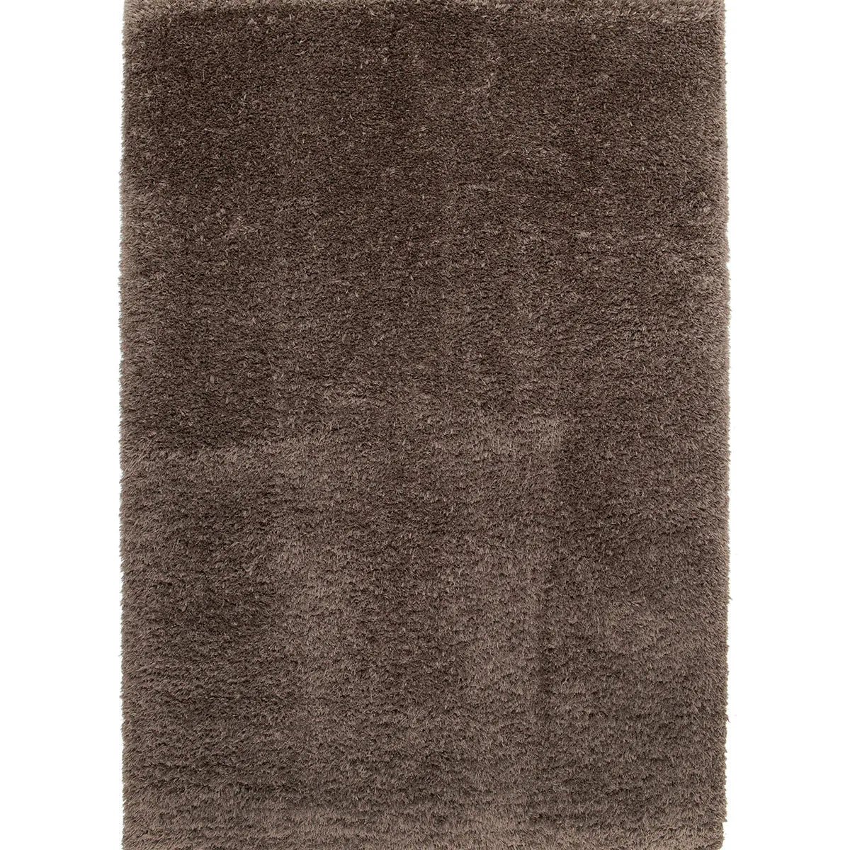 Polar - Brown