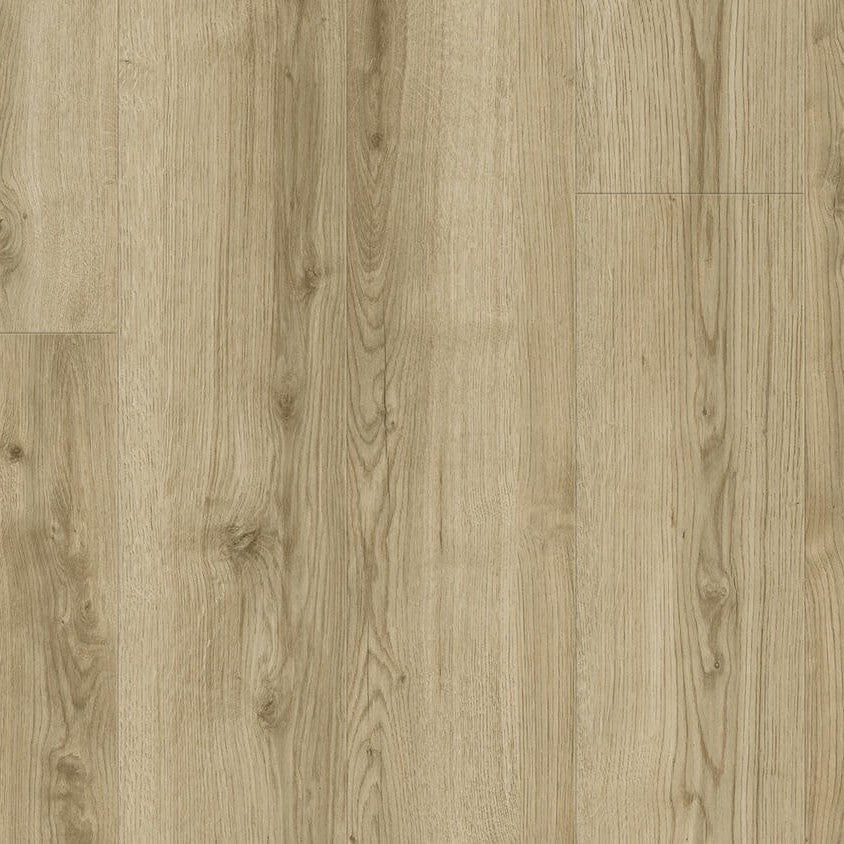 Soundlogic Woodstock Jura Oak Gold