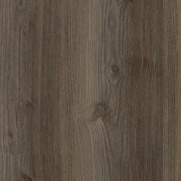 Planum Forte 70
