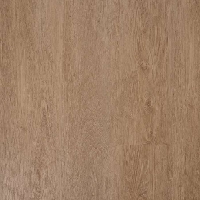 Colorado Oak