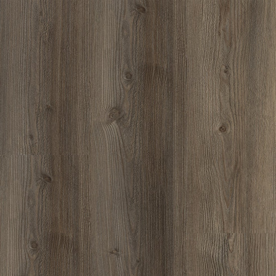 Planum Silence 55