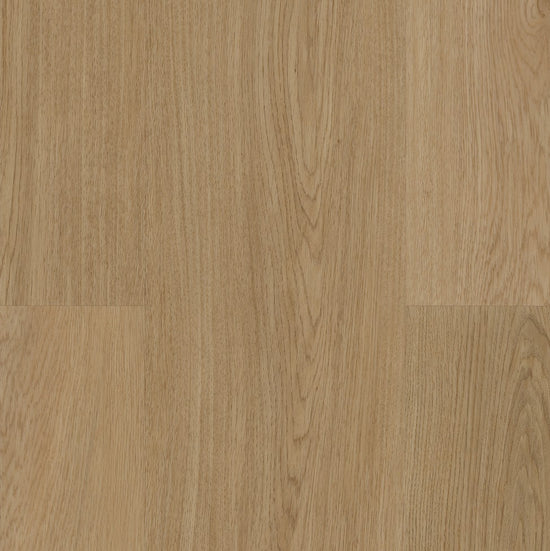 Planum Acoustic 55