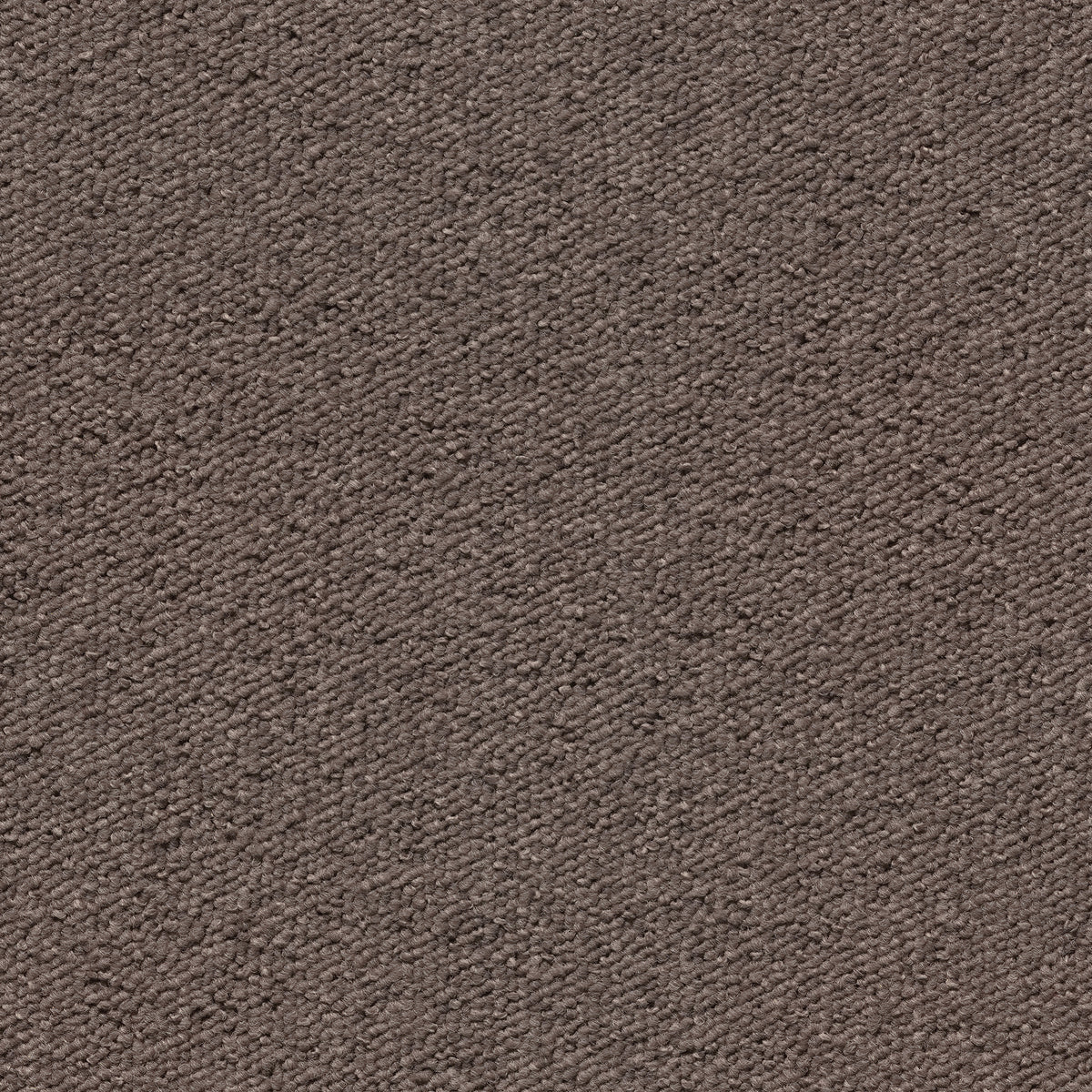 Una Tempo Light Brown