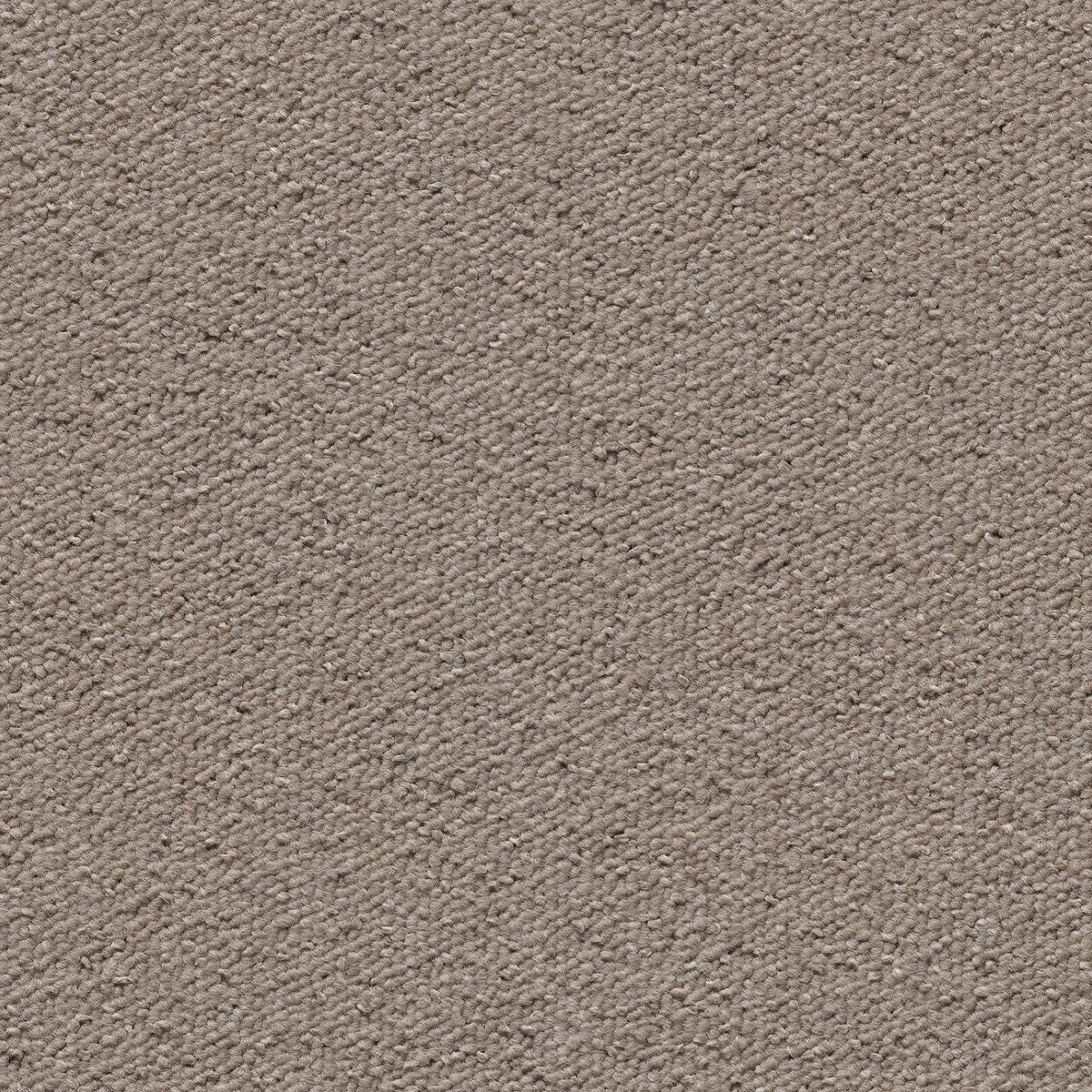 Una Tempo Beige