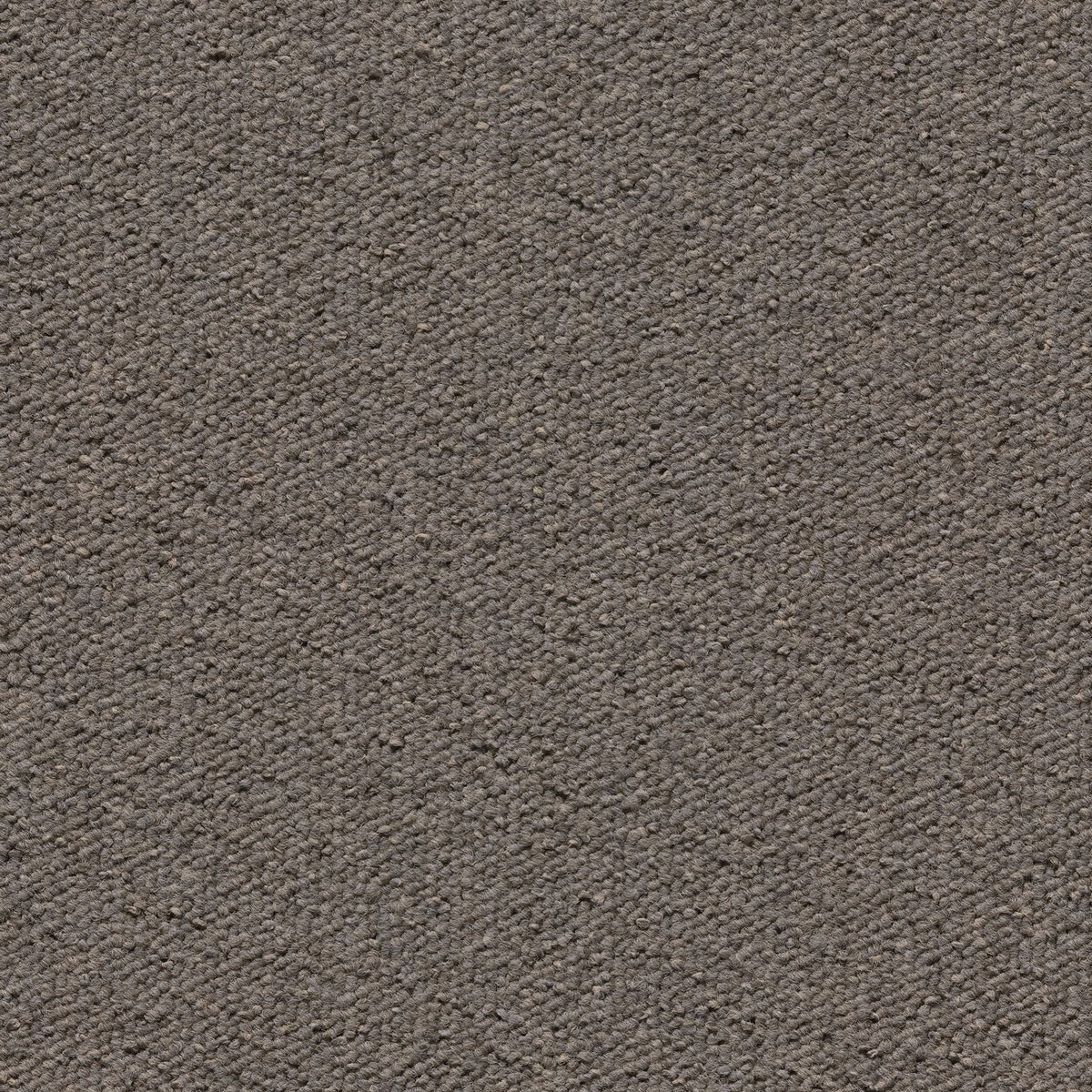 Una Tempo Dark Beige