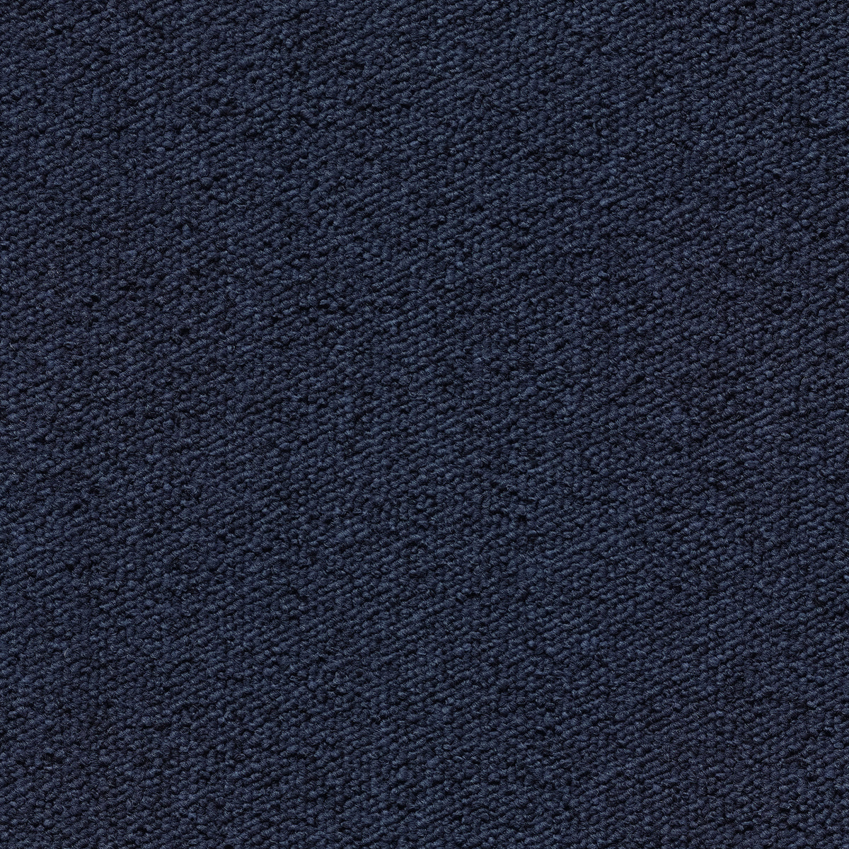 Una Tempo Shadow Blue