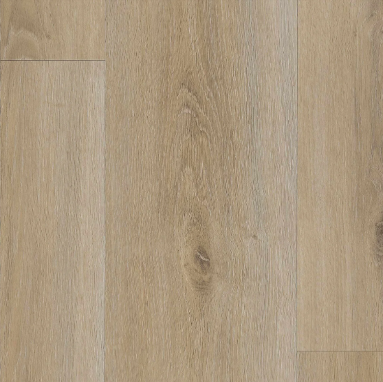 Planum Acoustic 55