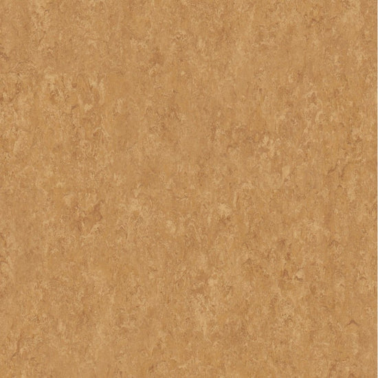 Tarkett Veneto Copper 634