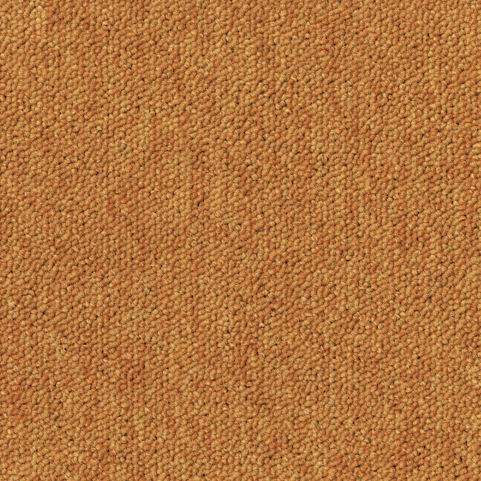 Desso Essence 5420