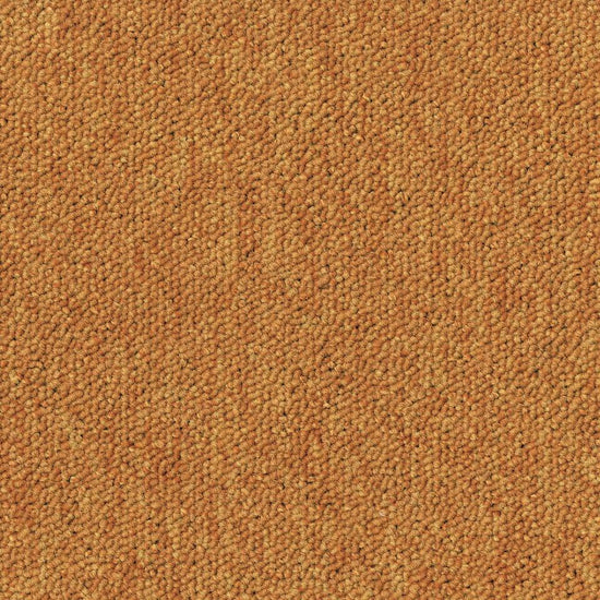 Desso Essence 5420