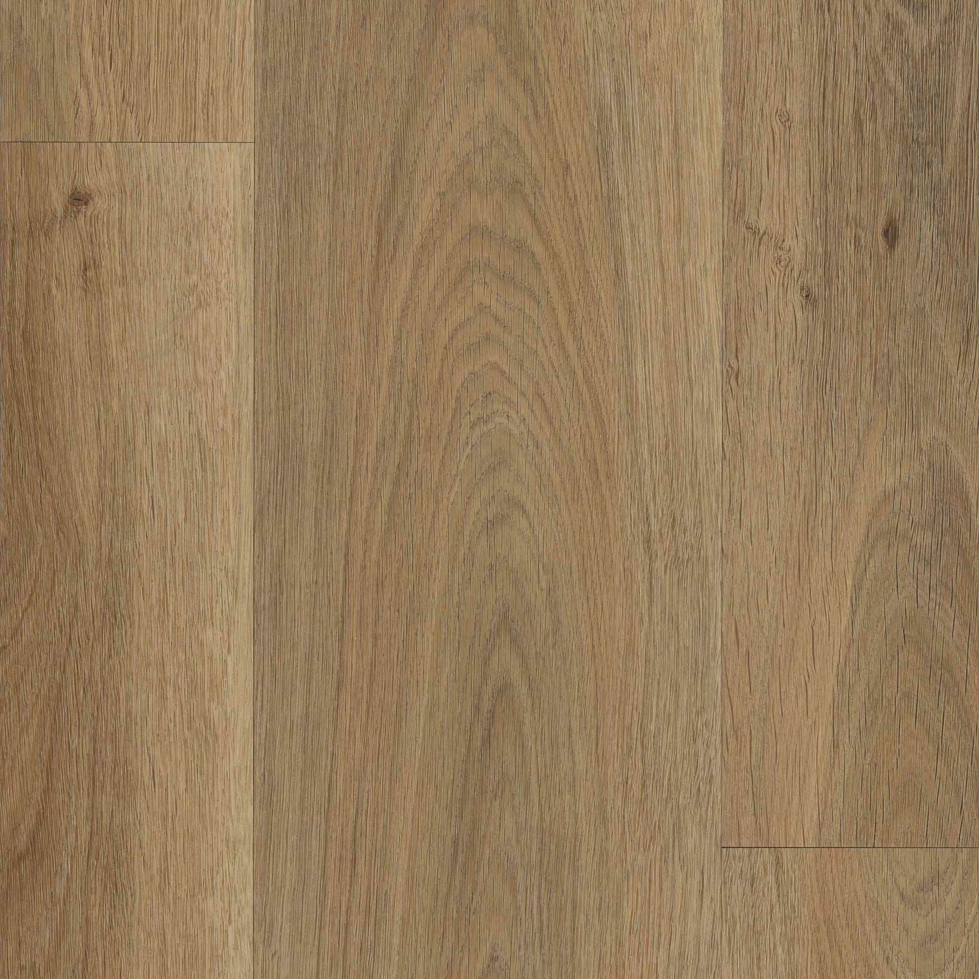 Planum Forte 100-Ege-Royal Oak-Egulve