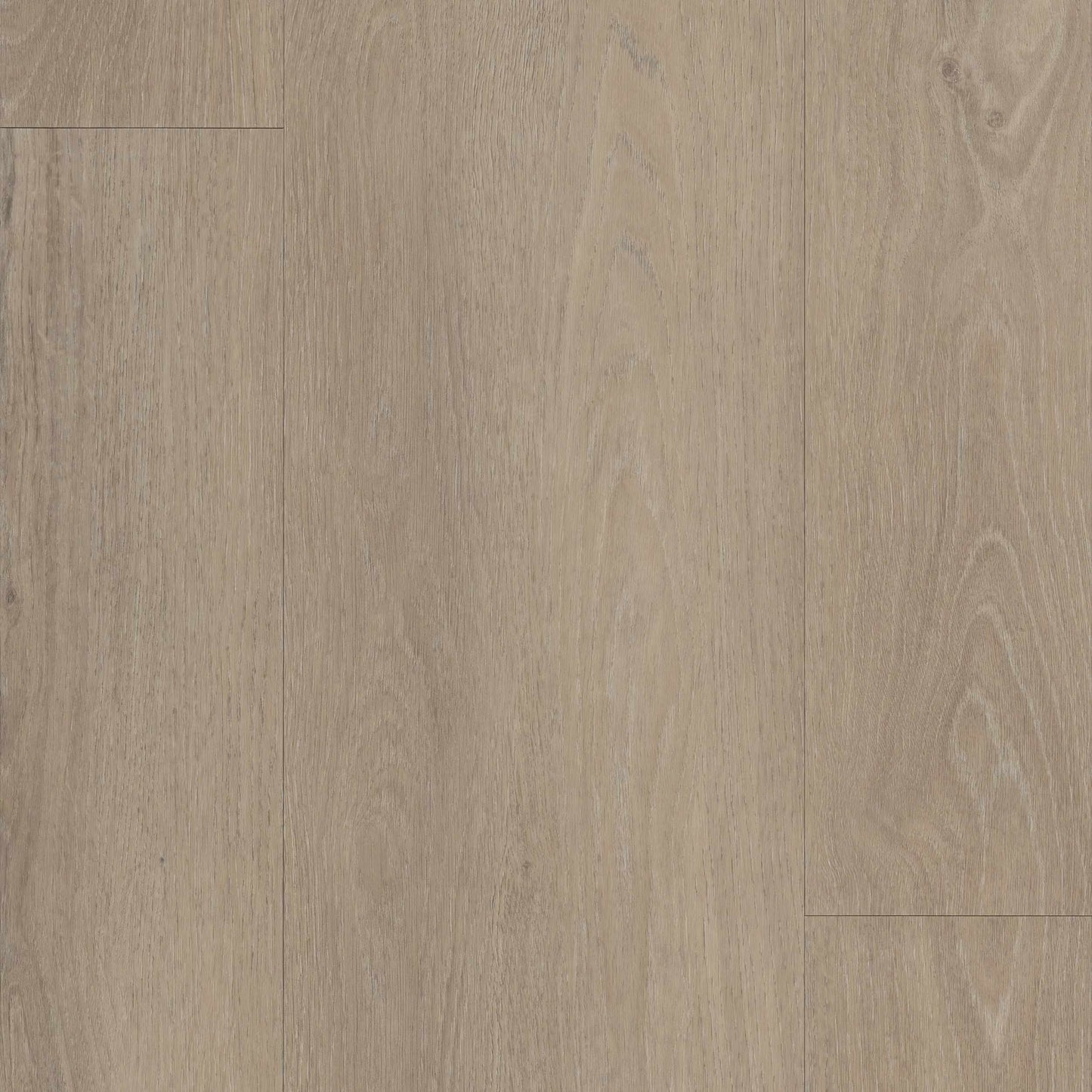 Planum Forte 100-Ege-Modern Oak-Egulve