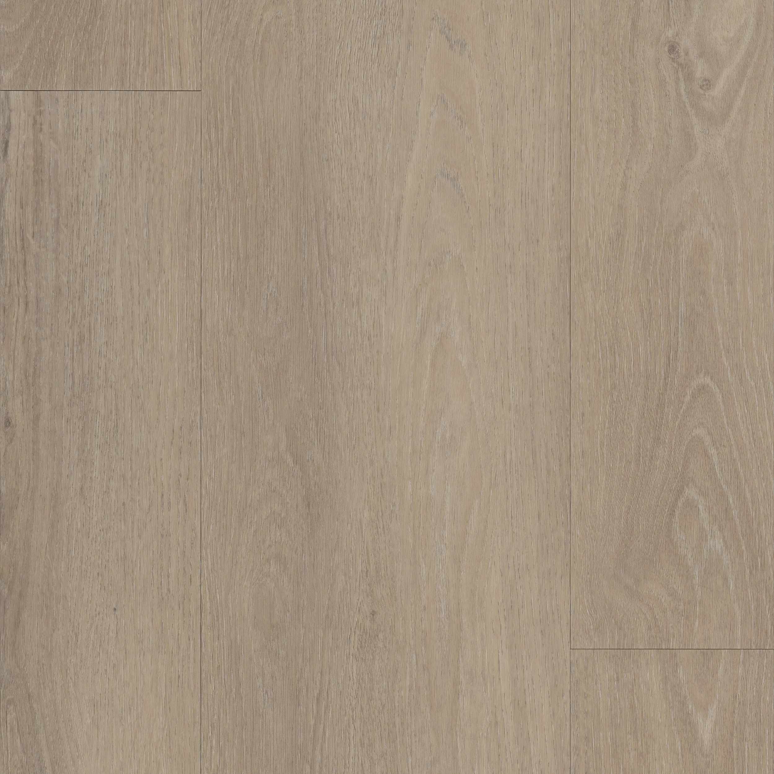 Planum Forte 100-Ege-Modern Oak-Egulve