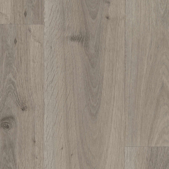 Planum Forte 100-Ege-Light Grey Oak-Egulve