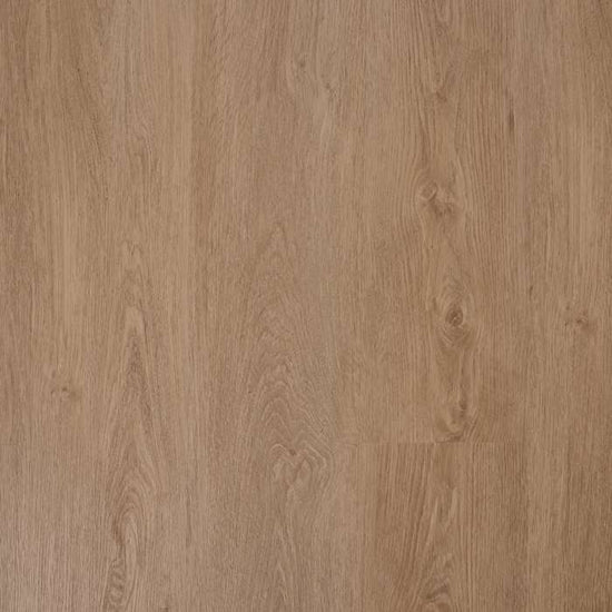 Colorado Oak