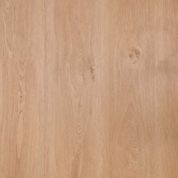 Texas Oak