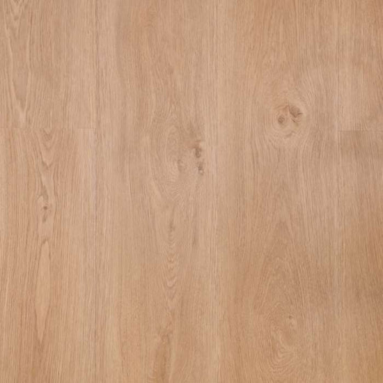 Texas Oak